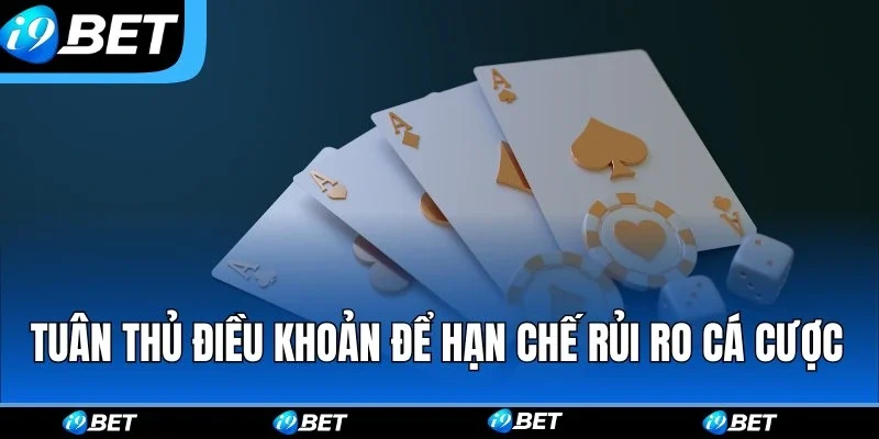 Tuân thủ điều khoản để hạn chế rủi ro khi cá cược
