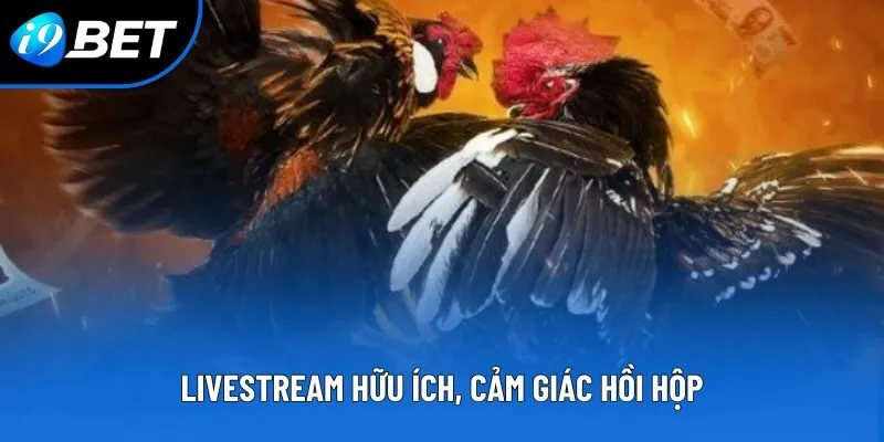Livestream hữu ích, cảm giác hồi hộp Livestream hữu ích, cảm giác hồi hộp